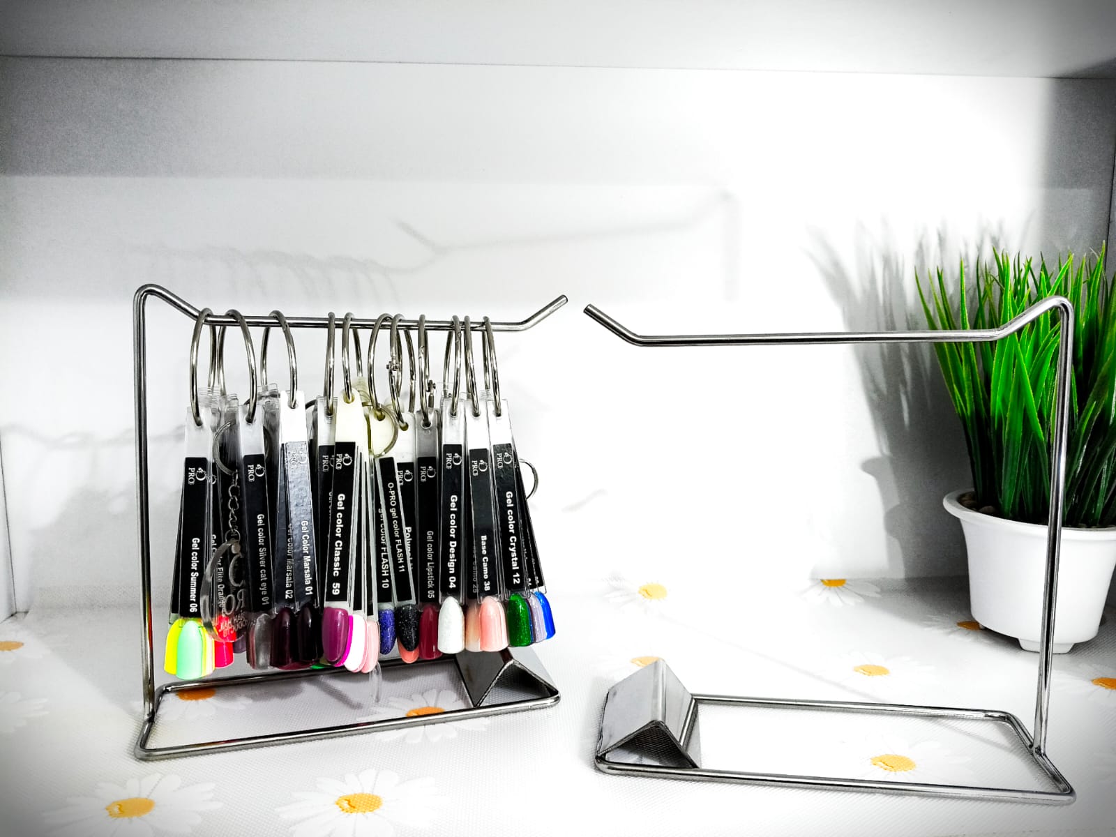 Color Tester Holder